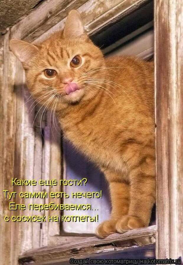 Мысли вслух :)
