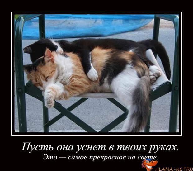 демотиваторы по русски