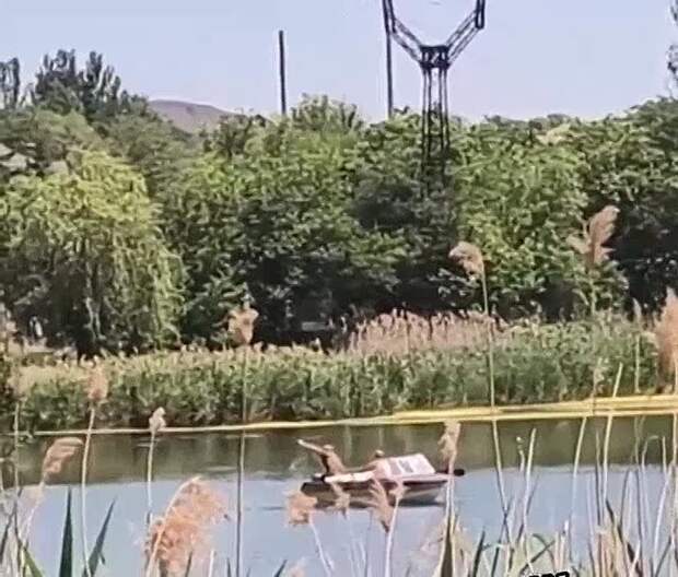Video: com.bongasoft.addremovewatermark_IMG_6560.MOV