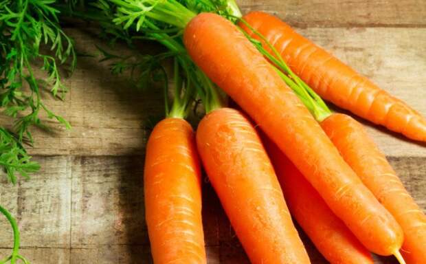 Современная морковь овощи, факты, фрукты