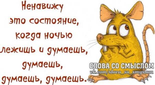 Веселые цитаты в картинках.