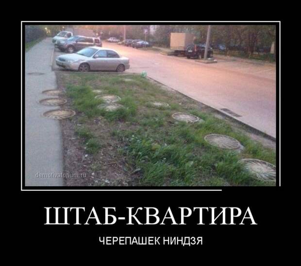 Демотиваторы №1114 (30 фото)