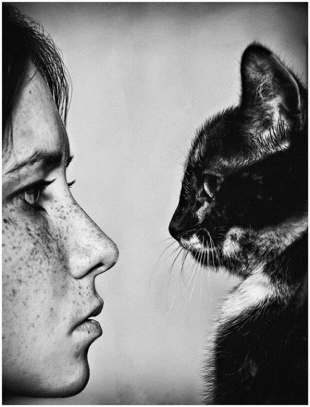 Фото стихи. Фотографии, на которые невозможно смотреть равнодушно