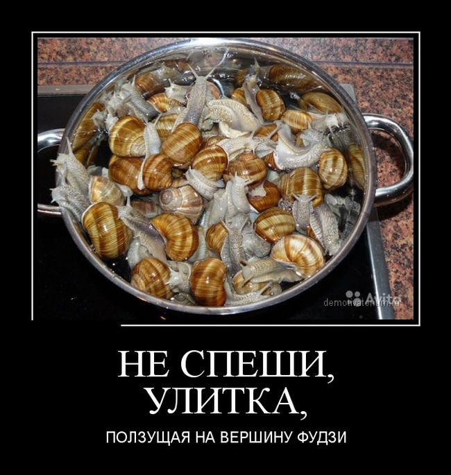 Демотиваторы (30 фото)