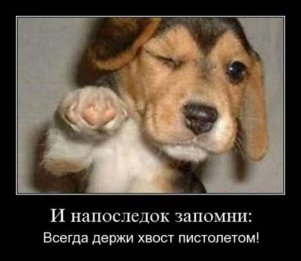 Демотиваторы по русски со смыслом.