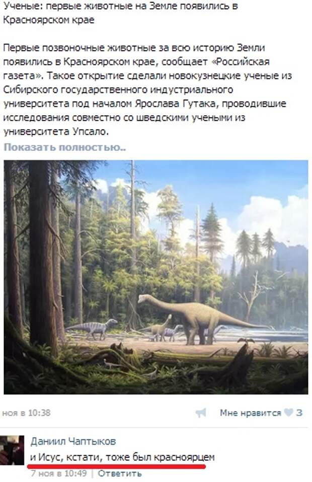 Смешные комментарии из социальных сетей комментарии, прикол, социальная сеть