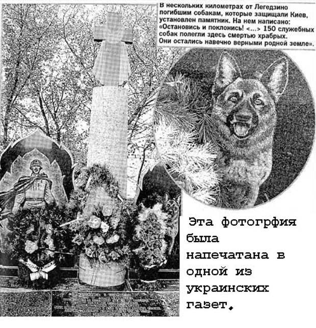 Шарики и Бобики на фронтах войны Шарики и Бобики на фронтах войны