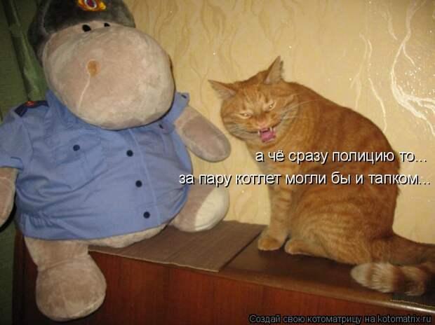 Котоматрица: а чё сразу полицию то... за пару котлет могли бы и тапком...