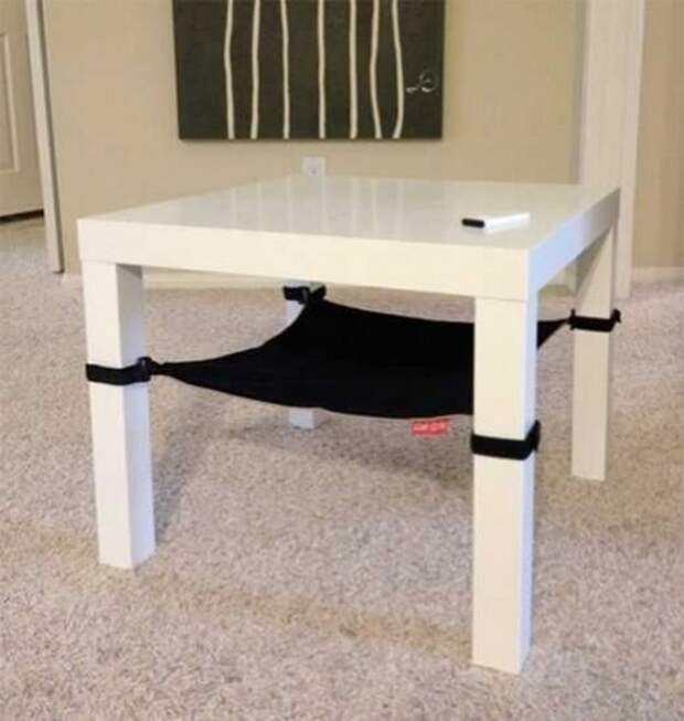 коты