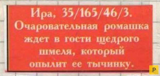 Смешные объявления о знакомстве (18 фото)