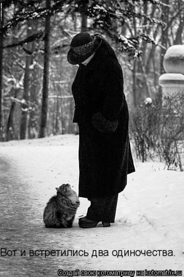 Котоматрица