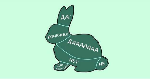 kak-nuzhno-gladit-zhivotnyx_2_1