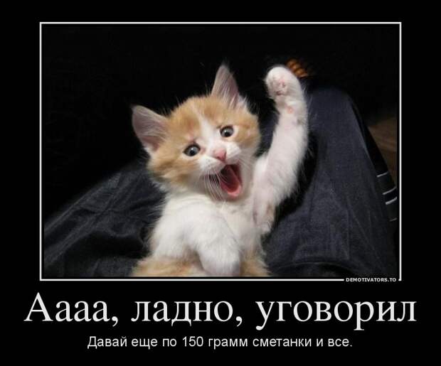 Демотиваторы Демотиваторы