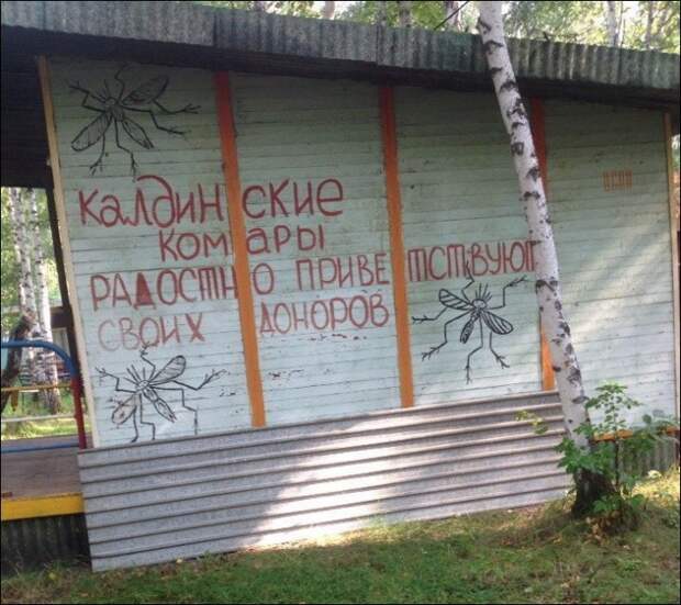 Маразмики =) №260814