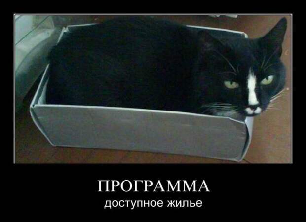 Демотиваторы  демотиваторы, прикол, смех, юмор