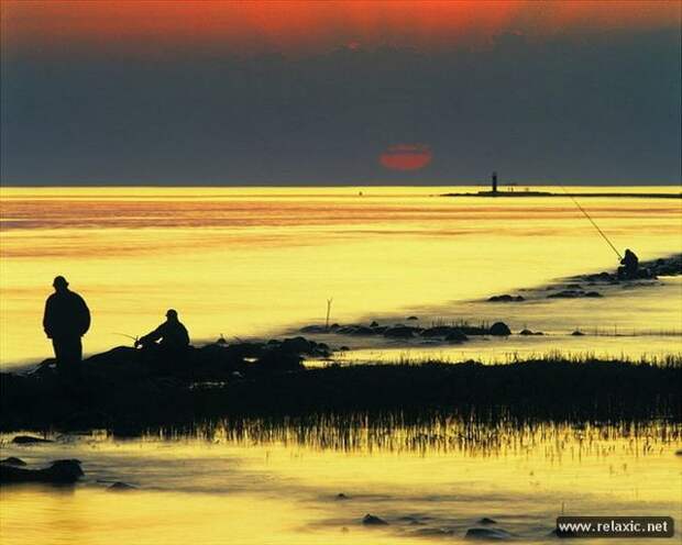 Andris_Eglitis_024 Andris_Eglitis_024