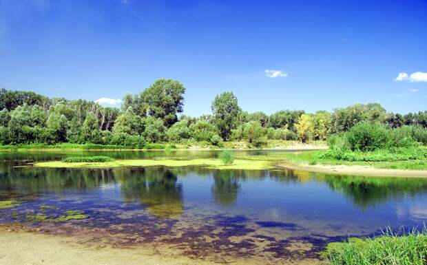 река Сок.jpg