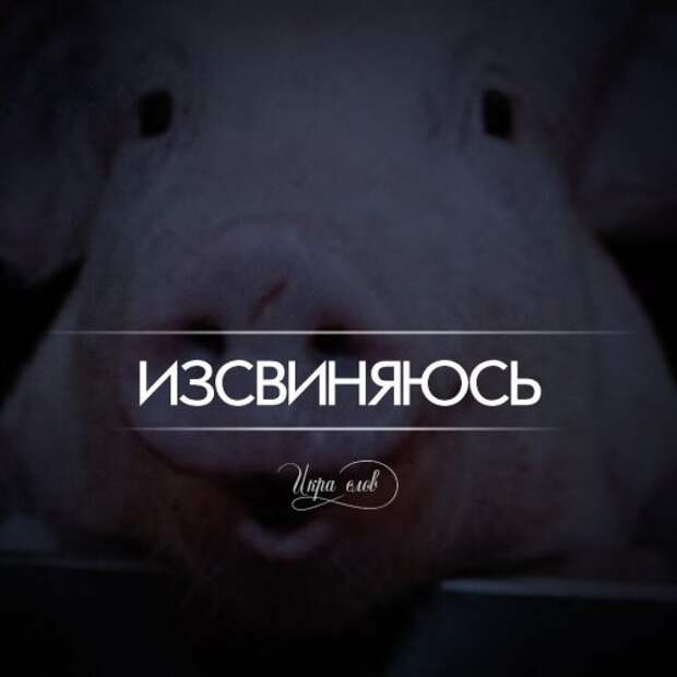 Игра слов (17 фото)