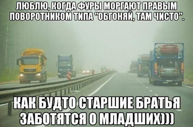 Просто смешные картинки с подписями весело, с подписями, смешные картинки, юмор