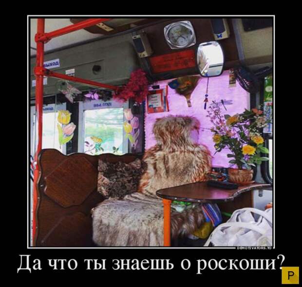 Зри в корень  (32 фото)