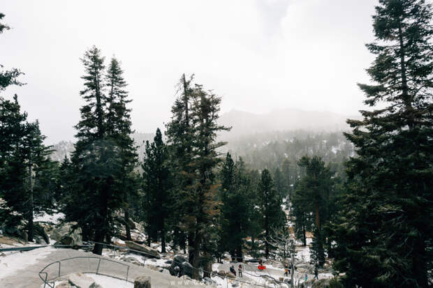 Winter in Mount San Jacinto State Park-6.jpg