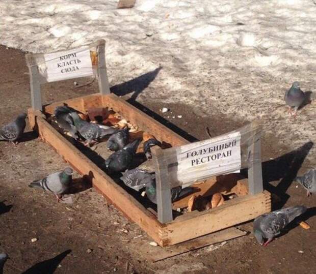 Это Россия, детка  (28 фото)