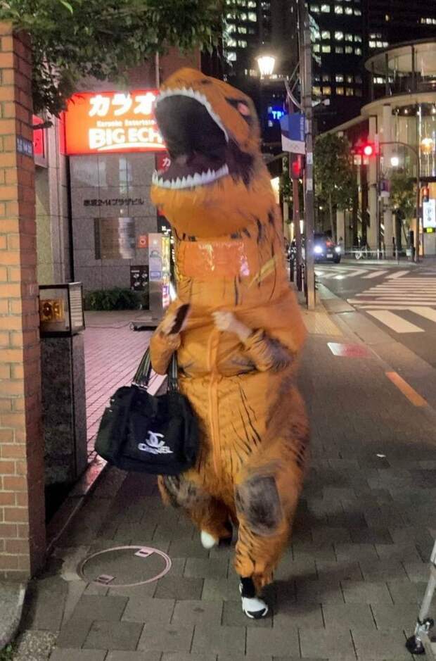 kartinok-veselyh-interesnyh-kartinki-smeshnye-kartinki-fotoprikoly kartinok-veselyh-interesnyh-kartinki-smeshnye-kartinki-fotoprikoly