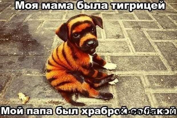 Всяко - разно 21 ))) Всяко - разно 21 )))