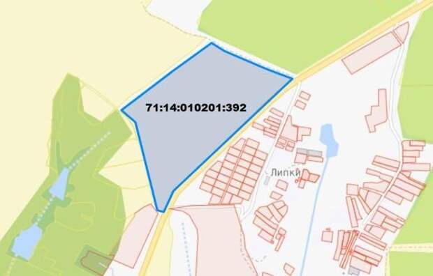 В Тульской области на торги выставлен участок под коттеджный поселок в Липках
