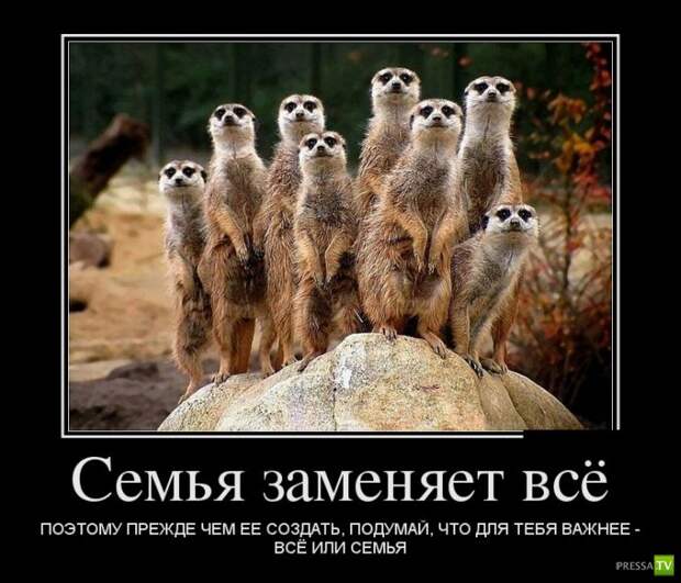 Демотиваторы на июль, часть 7 (29 фото) Демотиваторы на июль, часть 7 (29 фото)