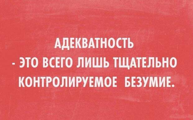 30 цитат, которые сказаны &quot;в точку!&quot;