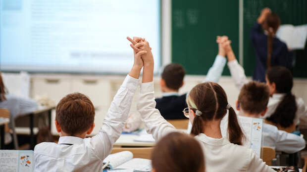 В Госдуме предложили ввести "индекс дружелюбия" в школах для борьбы с буллингом