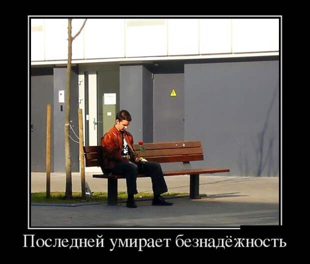 Демотиваторы (30 фото)