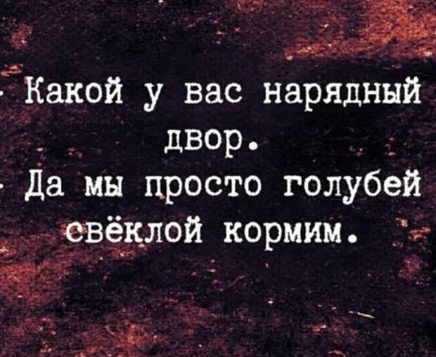 bredzona-kartinki-smeshnye-kartinki-fotoprikoly