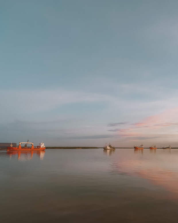 Что случилось с китом у берегов Германии: его пытались спасти 4 дня