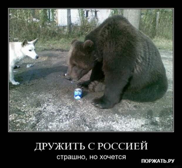 искали демотиваторы?