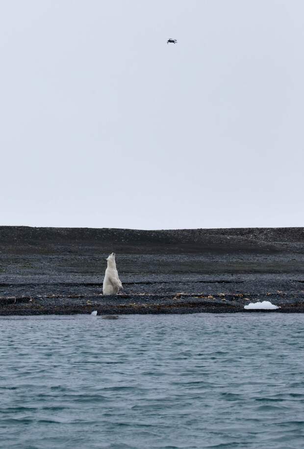 Фотографии РГО