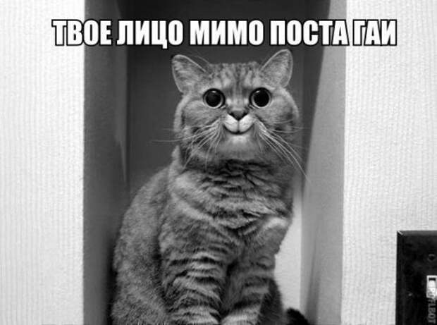 Фотоприколы на автотематику (19 шт)