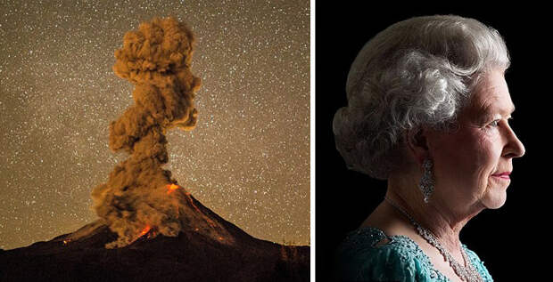 similar-things-look-alike-8__700