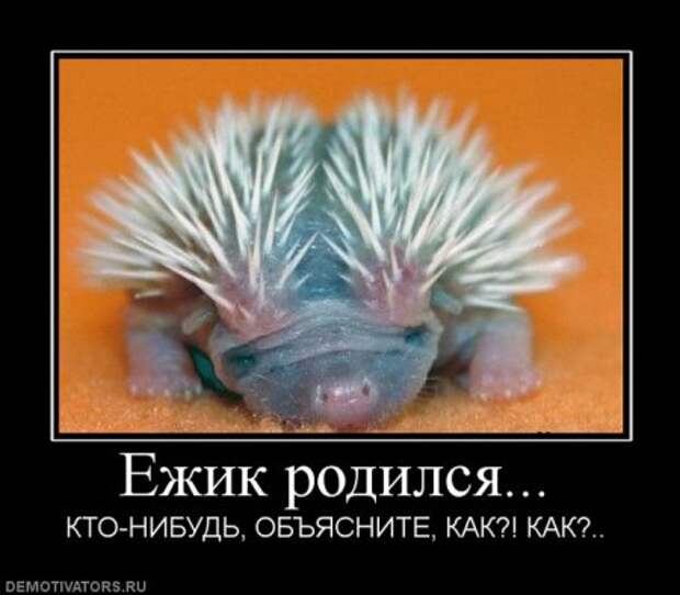 Демотиваторы много, свежие.