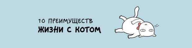 забавные причины завести кота
