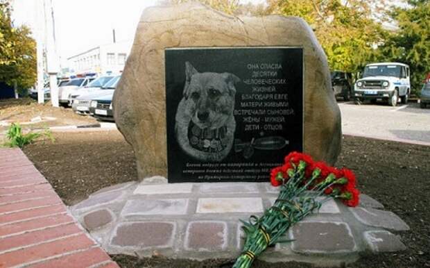 Установлен памятник собаке, которая подорвалась на мине, но спасла сотни жизней