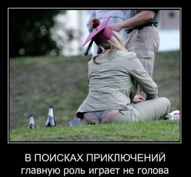 Демотиваторы про котэ и не только.