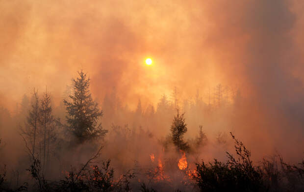 Разгар сезона.  Россия задыхается от рекордного количества лесных пожаров. Ждать ли повторения смога 2010 года?