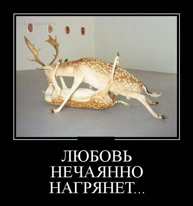 Демотиваторы демотиваторы, прикол, смех, юмор