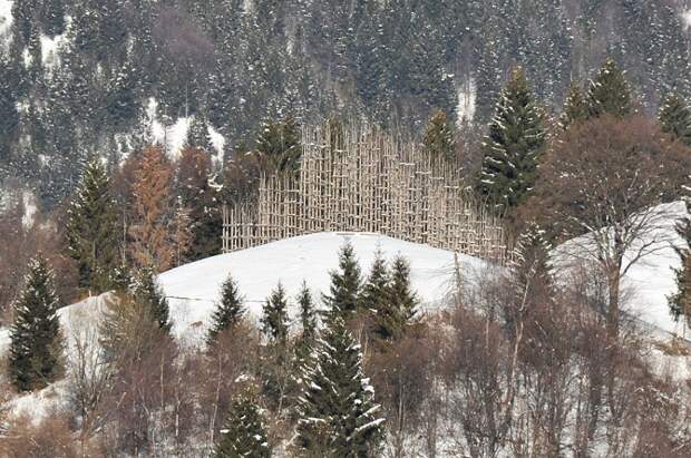 Храм из живых деревьев в Италии. Фото