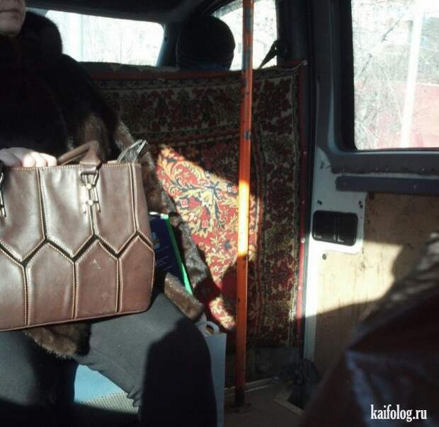 Приколы про ковры (45 фото)