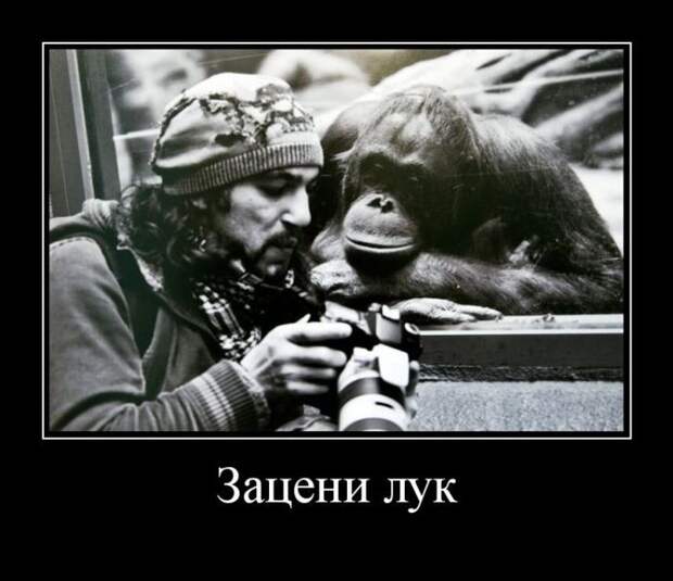 Пятничная подборка демотиваторов демотиватор, юмор