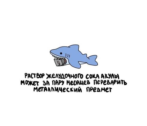 Разные интересные факты на все случаи жизни