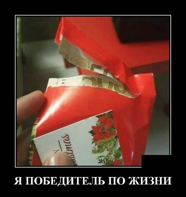 Демотиваторы (30 фото)